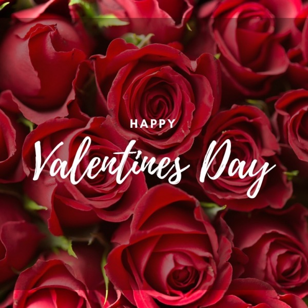 Sending heaps of love and appreciation to our incredible residents this Valentine's Day! You make our community special.
Happy Valentines Day!
#love #joy #valentines #Happiness #duluthapartments #